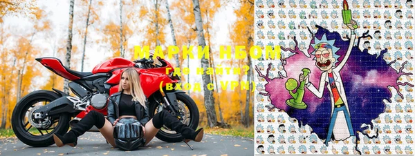стаф Иннополис
