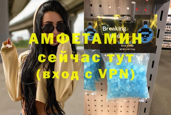 прущие грибы Каменка