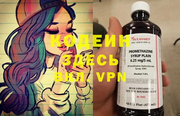 apvp Инта