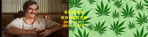 стаф Иннополис
