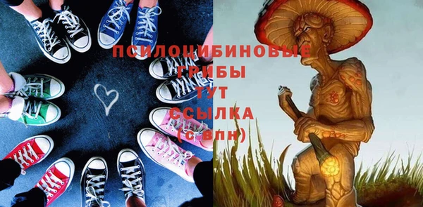 твердый Кодинск