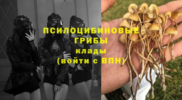 spice Козельск