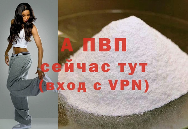 apvp Инта