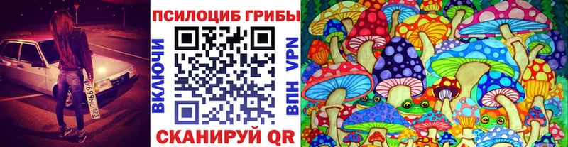 Псилоцибиновые грибы GOLDEN TEACHER  Владикавказ 